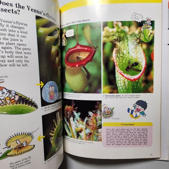 Flowers & Trees Child's First Library of Learning Hardcover Book Science Stem Ho - Picture 5 of 16